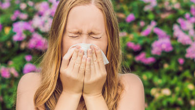 Parlagfű allergia